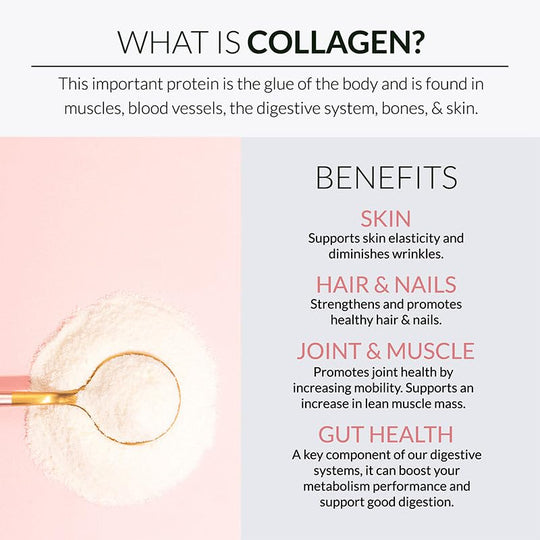 Alaya Multi Collagen Powder – Supports Hair, Skin, Nails &amp; Bone Health | 5 Types Collagen Peptides (20 Servings)