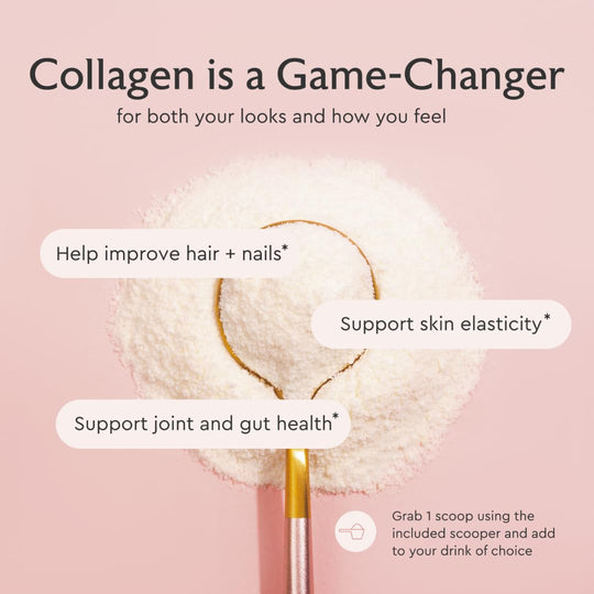 Alaya Multi Collagen Powder – Supports Hair, Skin, Nails &amp; Bone Health | 5 Types Collagen Peptides (20 Servings)